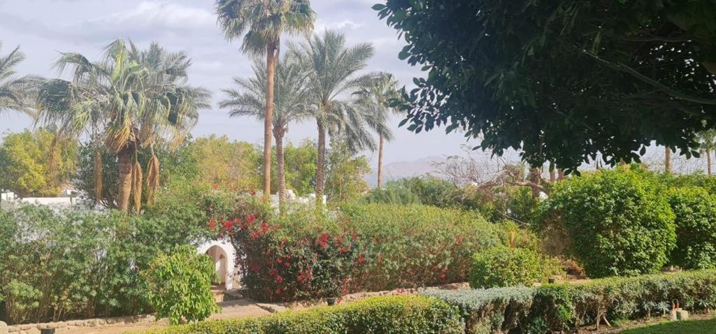 Ferienwohnung Grace House Domina Coral Bay Sharm El-Sheikh Exterior foto